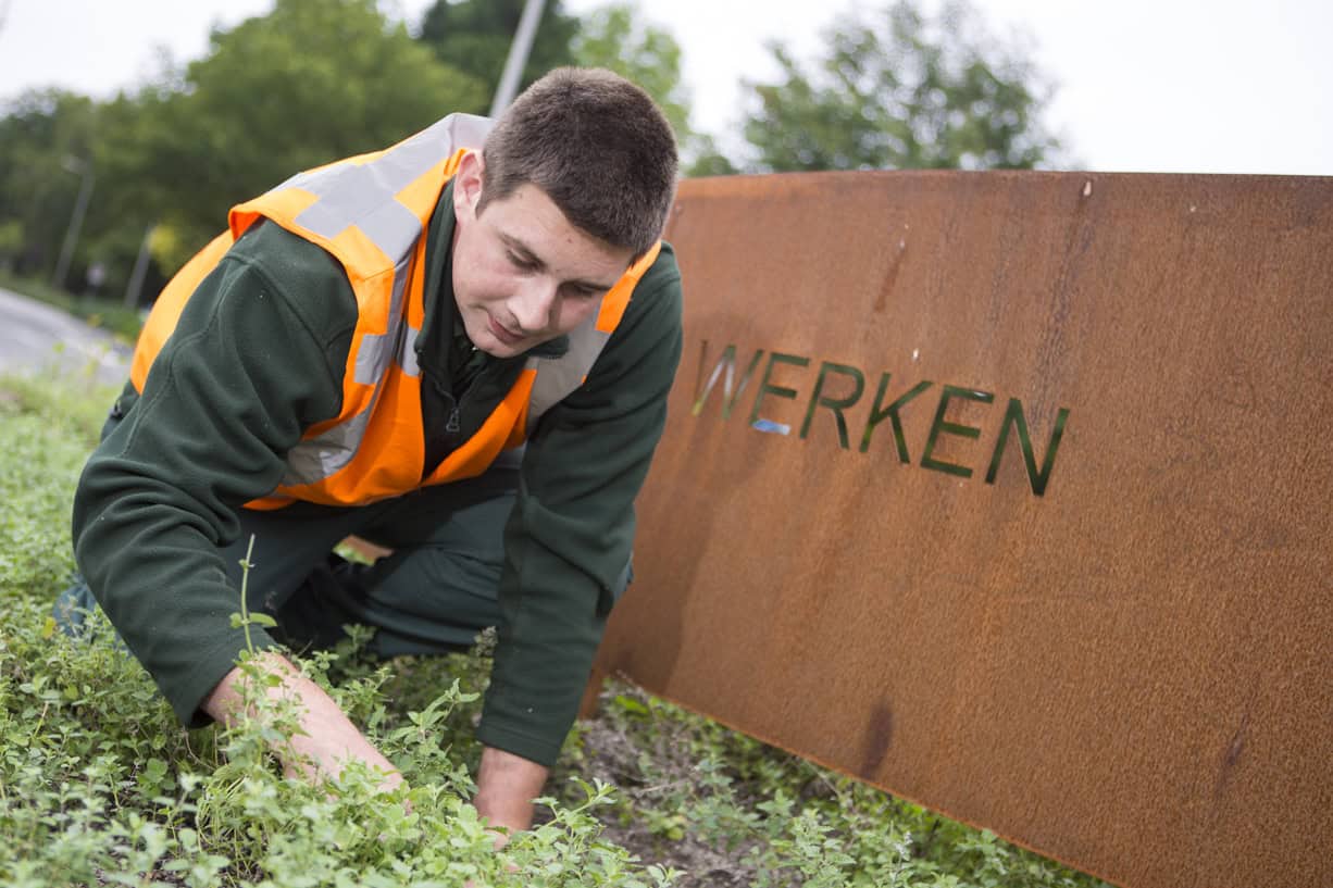 Werken in het groen